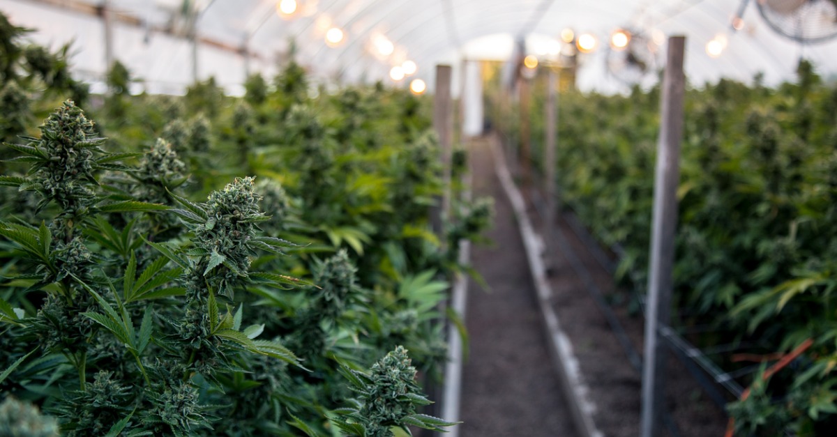 Grow Houses No Problem for REALTORS® to Sell