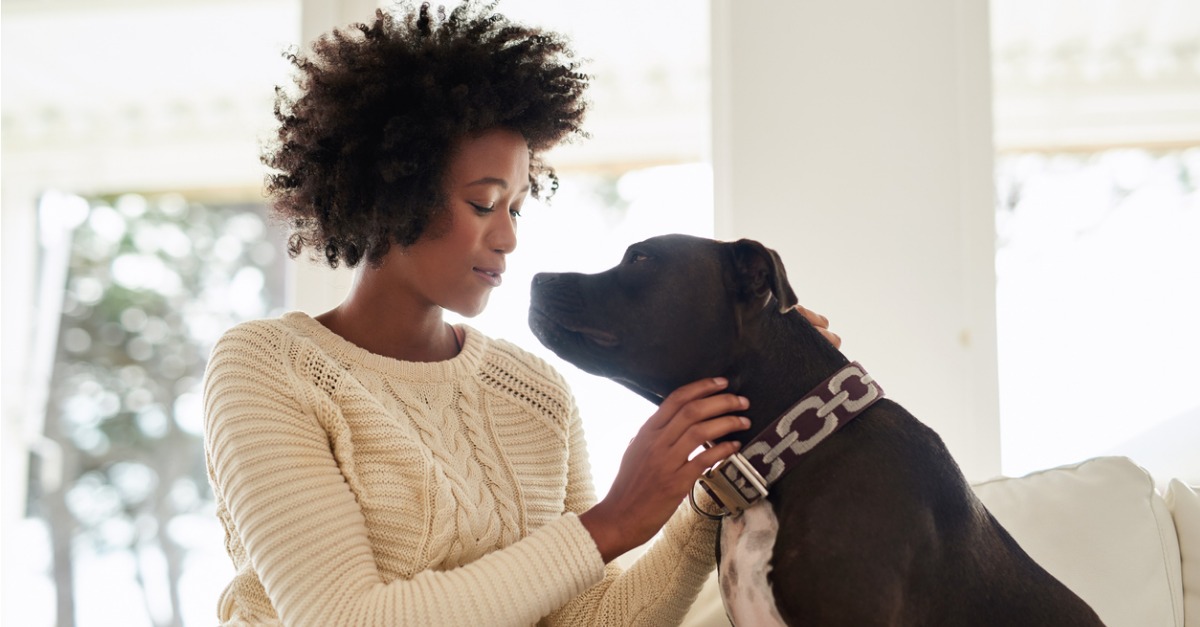 What Pet Owners Need to Consider When Buying a Home