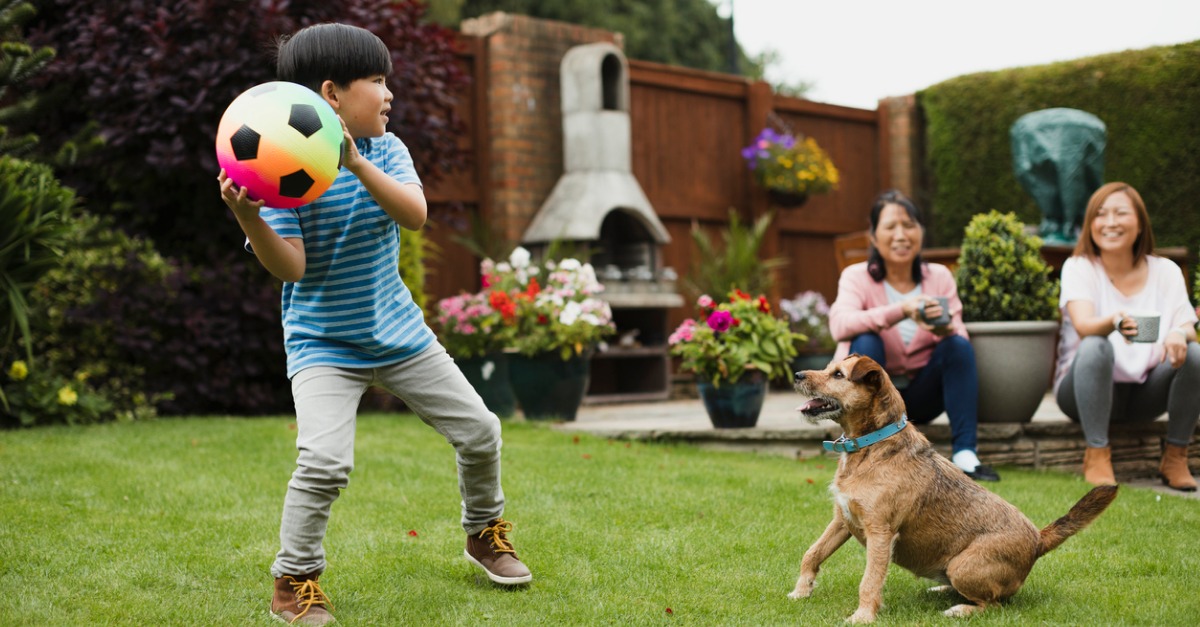 Adding a Dog to the Family? Here Are Some Expenses to Consider