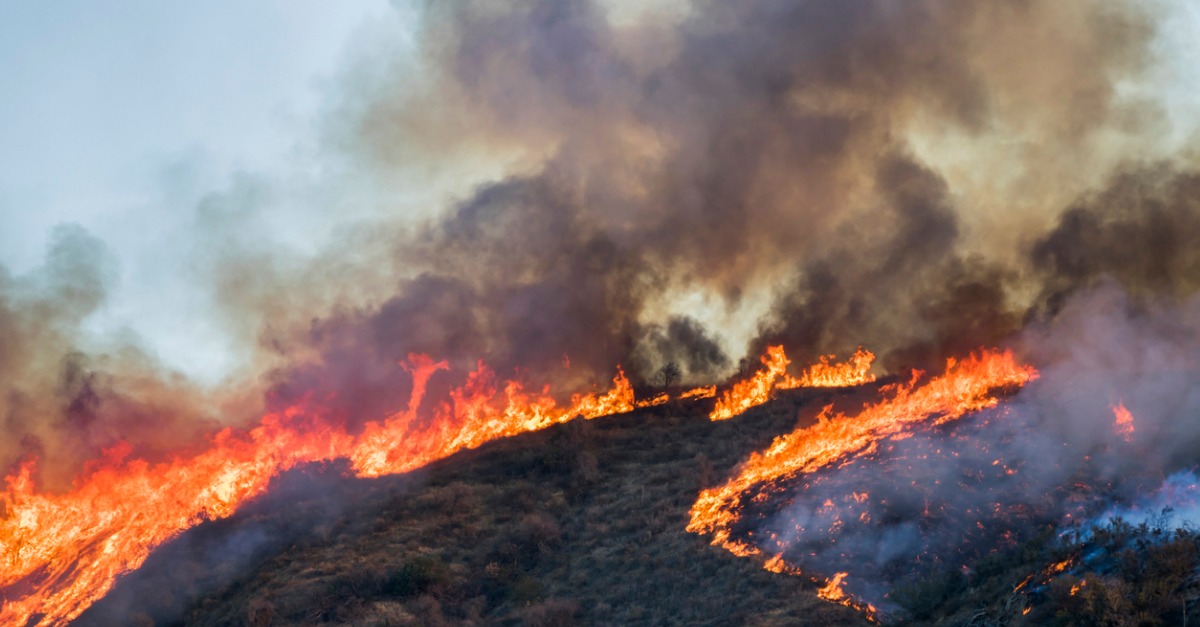 Where’s Paradise? California Community to Rebuild or Relocate After Deadly Camp Fire