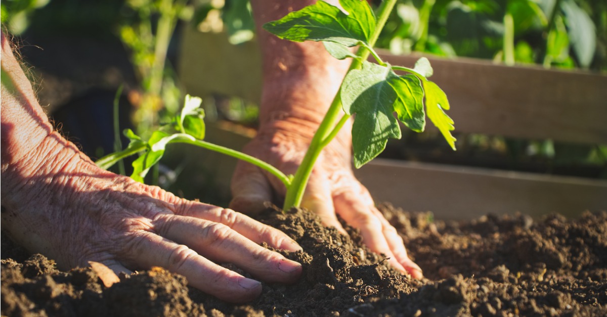 A Garden To-Do List You Can Start Right Now