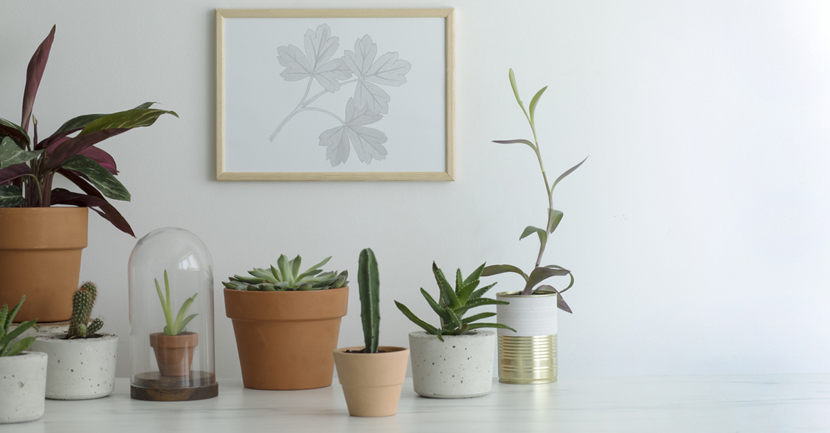 5 Ways to Show Love to Your Home This February