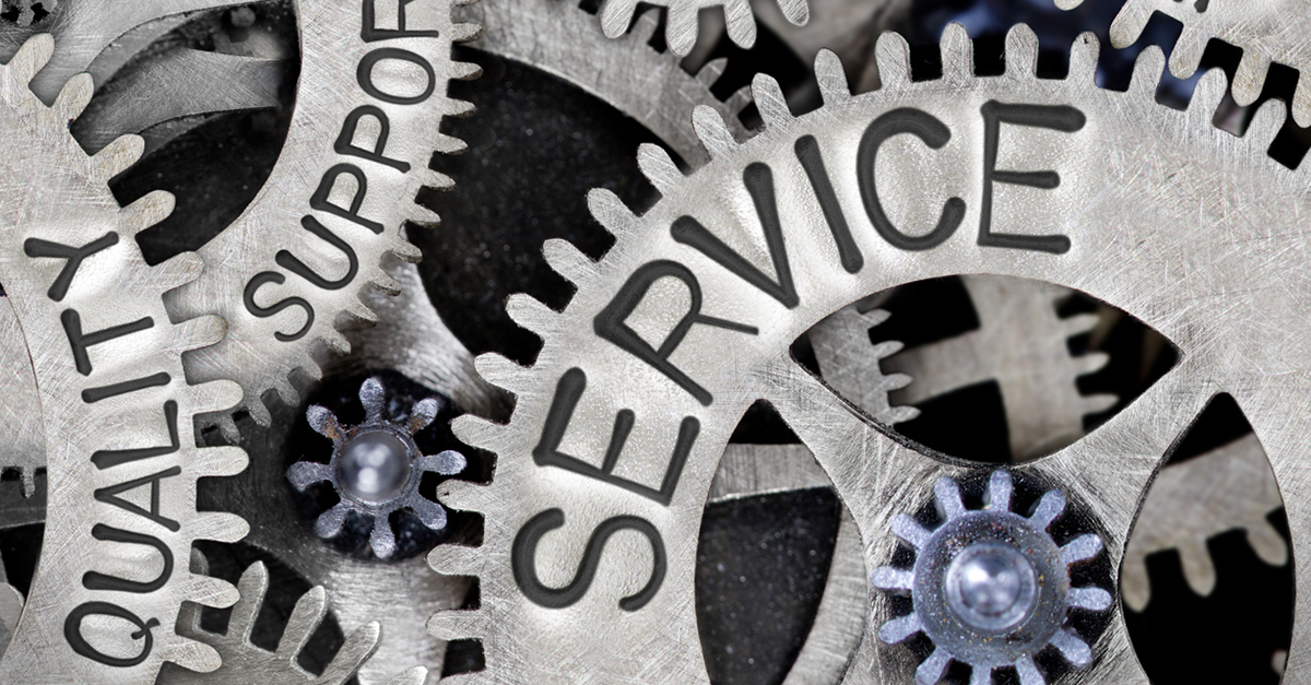 Mary Lynn Stone: A Steady Focus on Service