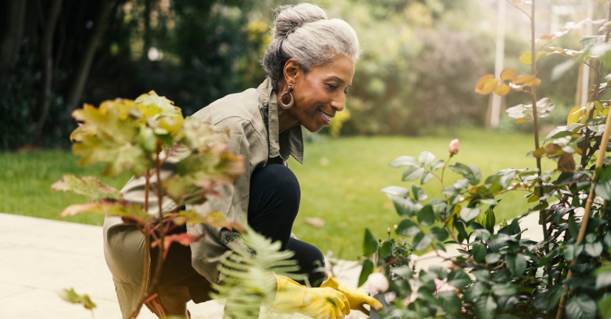 7 Tips for Becoming a Better Gardener