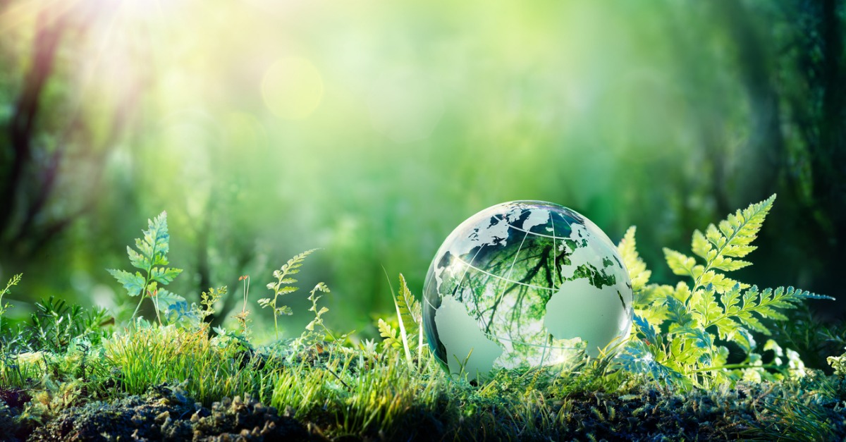 Joining the Zero-Waste Movement Is Easier Than You Think