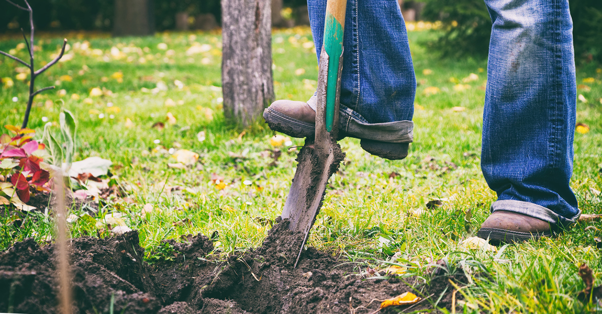 Give Your Garden Some TLC Before Spring