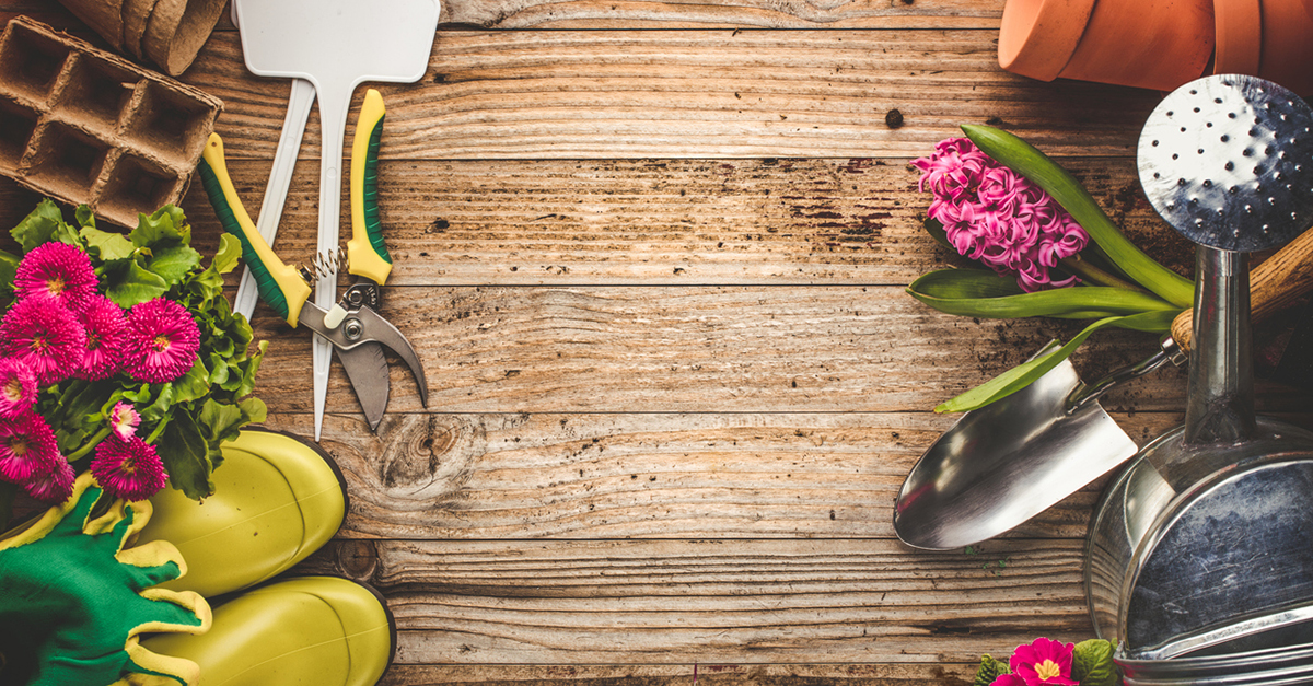 Is Your Garden Ready for Spring?