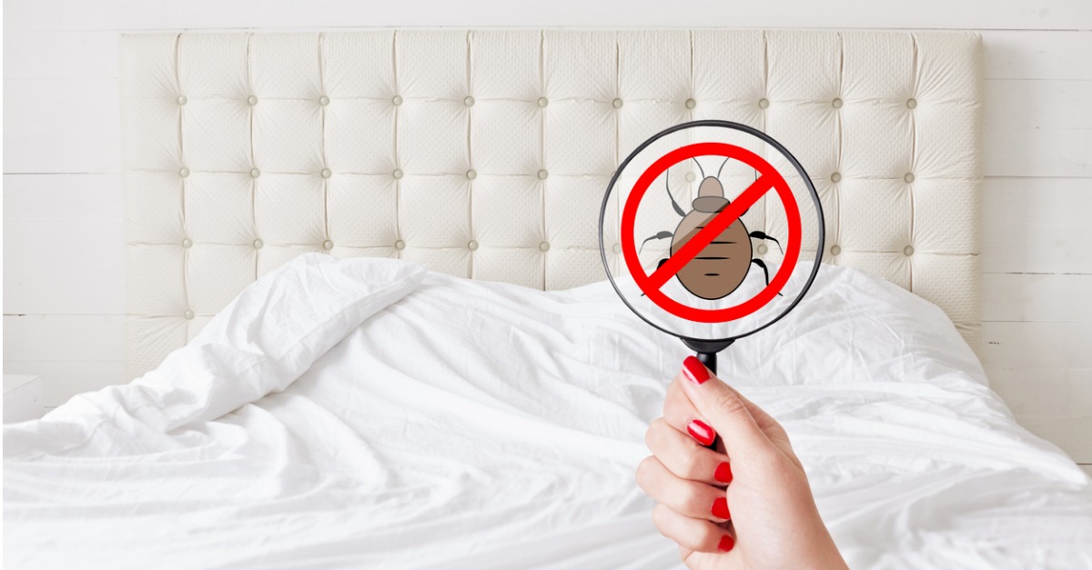 10 Tips for Dealing with Bed Bugs