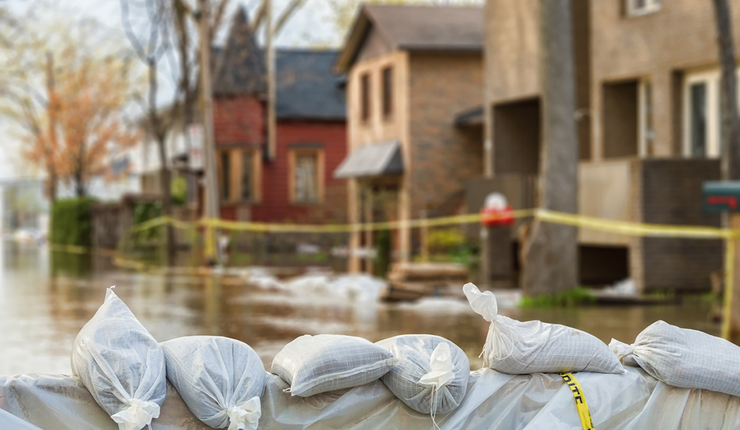 Mitigating Risk, Lowering Costs: Better to Protect or Insure Against Natural Disasters?