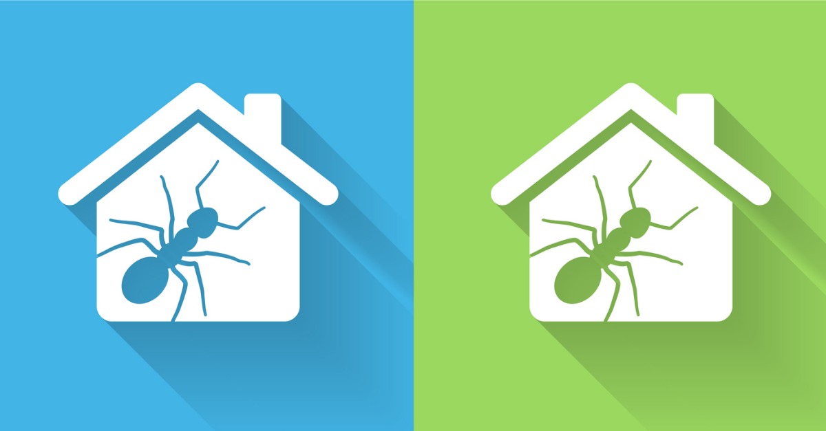 5 Tips to Keep Your Home Ant-Free