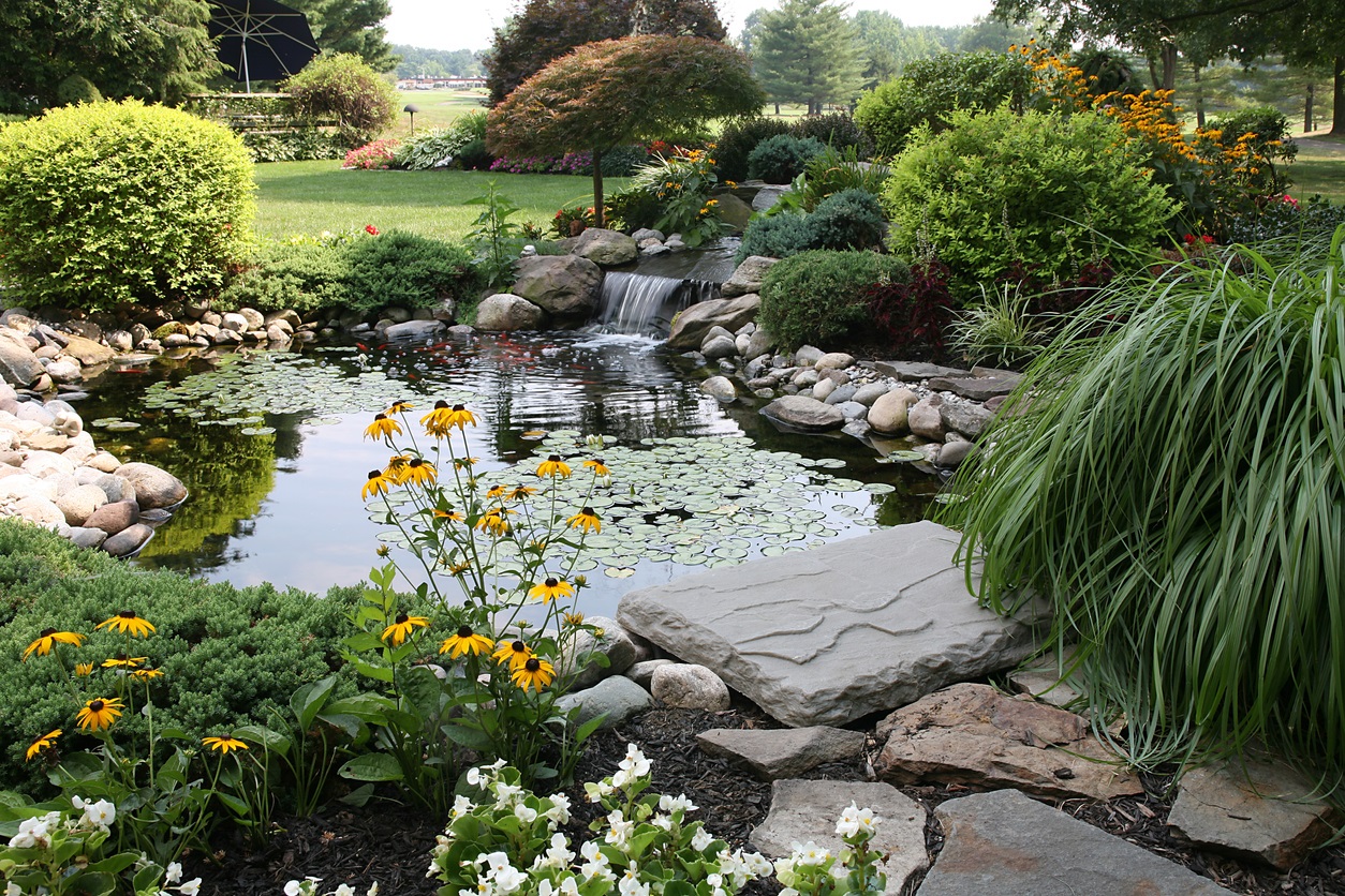 9 Ways to Beautify Your Backyard