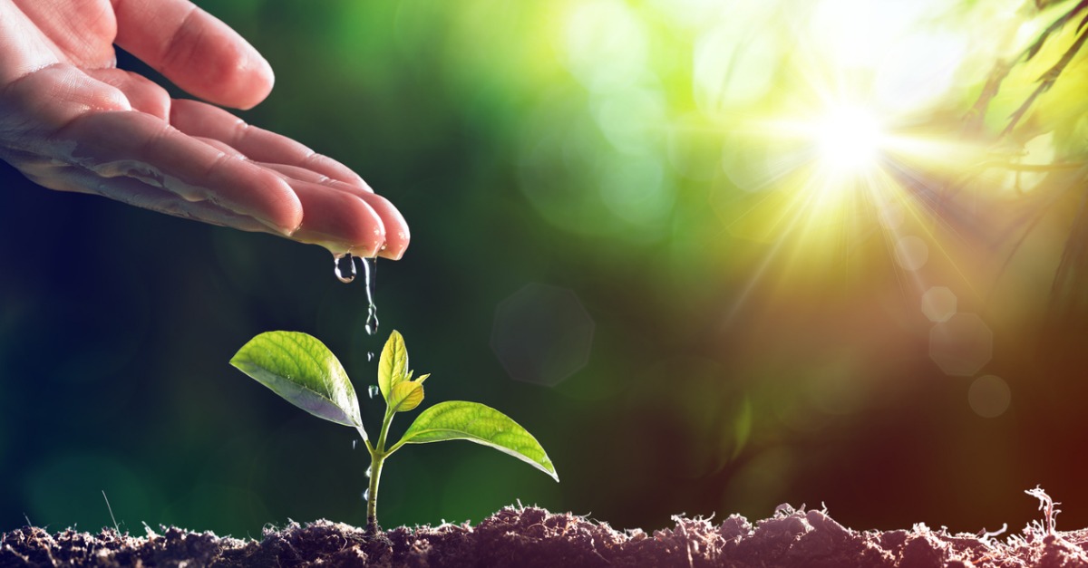 Tips for Water-Smart Landscaping