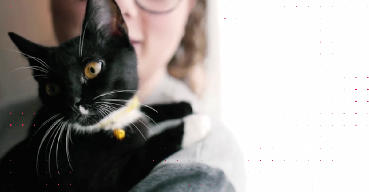 Negotiating With a Landlord Over Pets