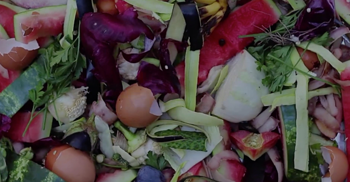How to Cut Food Waste and Save Money