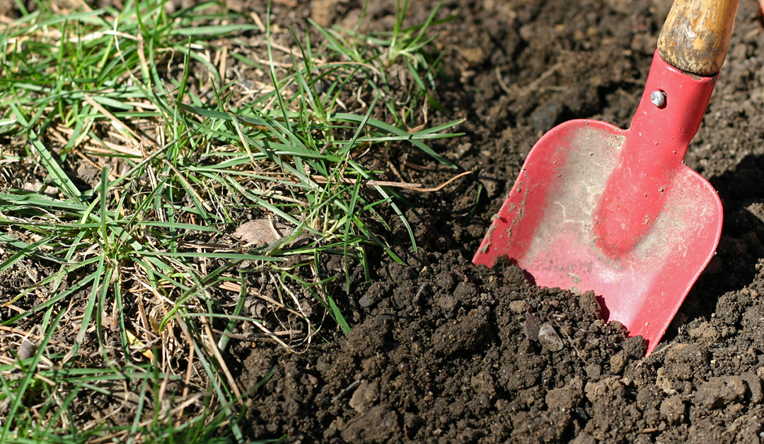 Digging Dos and Don’ts