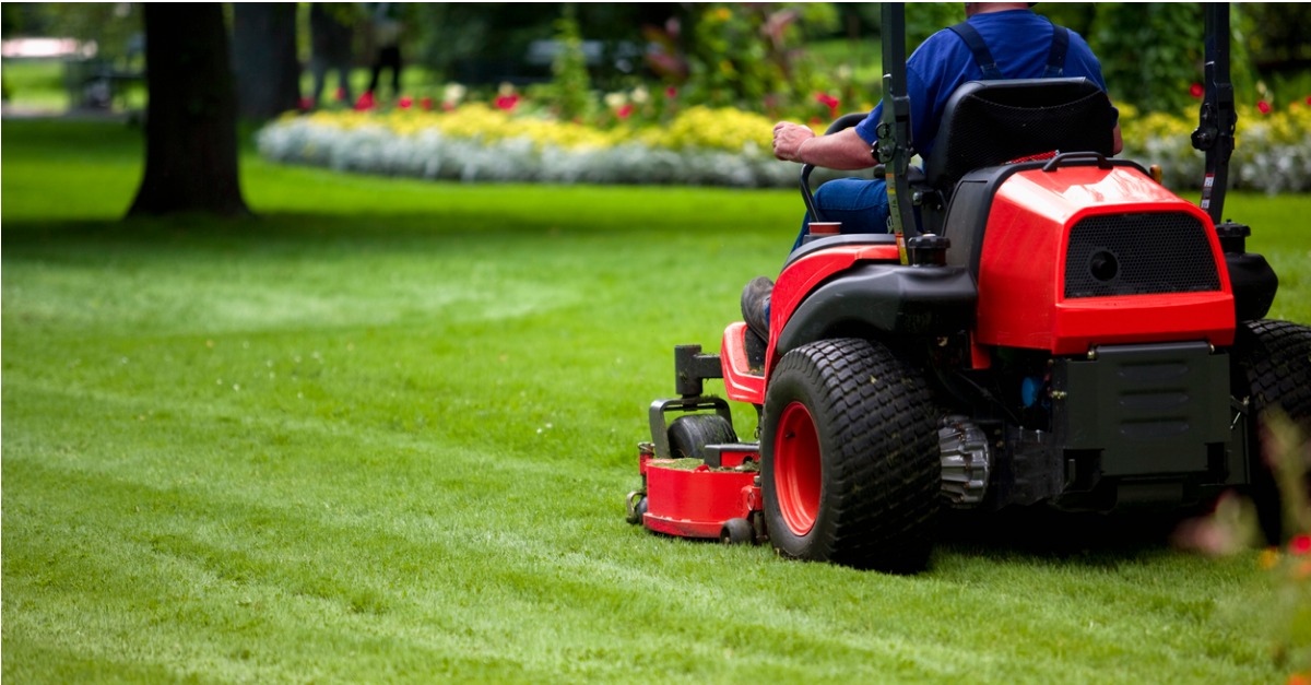 Should You Handle Lawn Care Yourself or Hire a Landscaper?