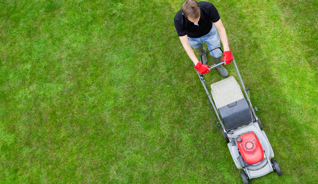 Pros and Cons of DIY Lawn Care for New Homeowners
