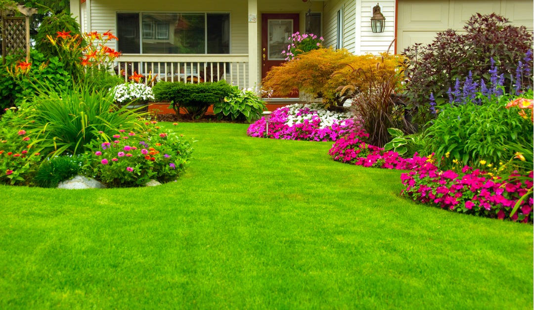 How to Keep Your Grass Healthy — RISMedia