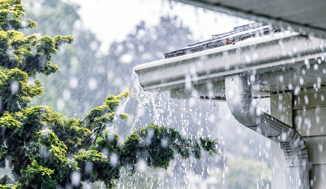 The Importance of Gutters