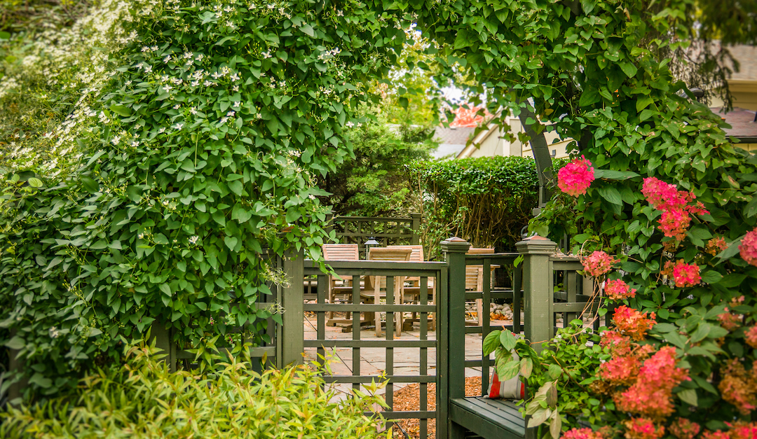 5 Ways to Create a Private Outdoor Living Area