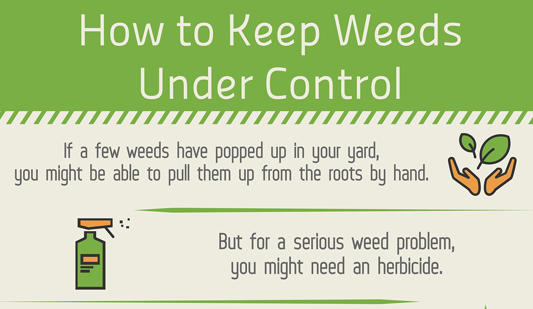 How to Keep Weeds Under Control