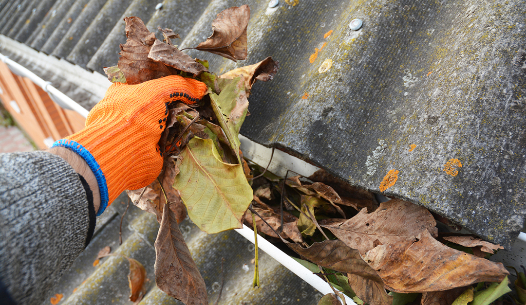 End of Summer Property Maintenance You Can’t Afford to Ignore