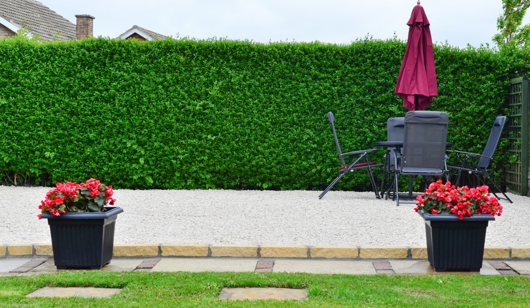 How to Make Your Yard More Private