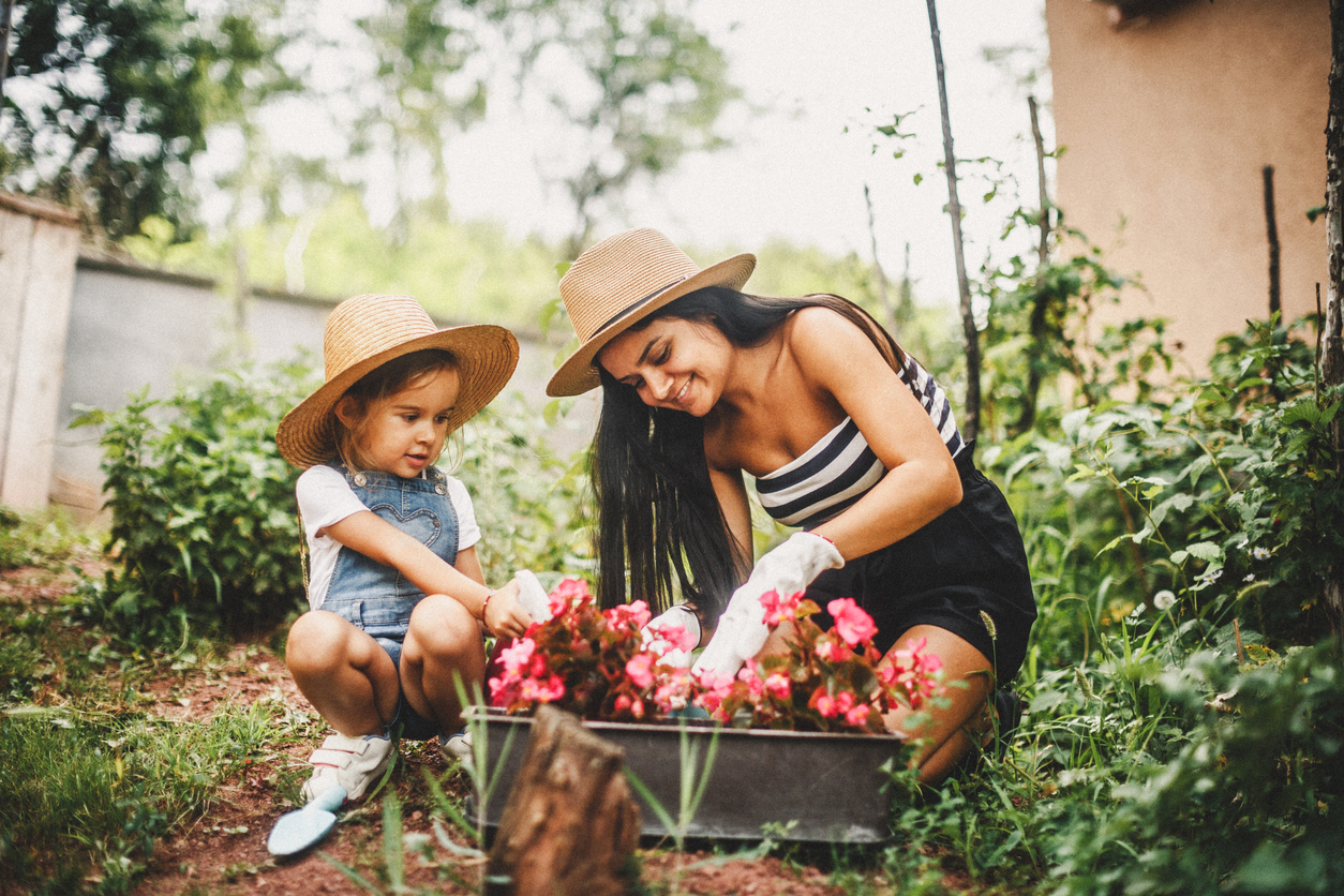 Budget-Friendly Gardening Tips for Beginners