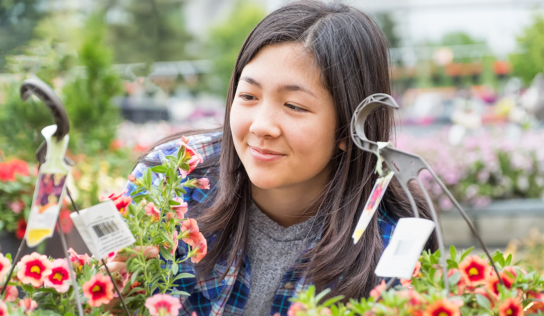 How to Keep Indoor Plants Healthy