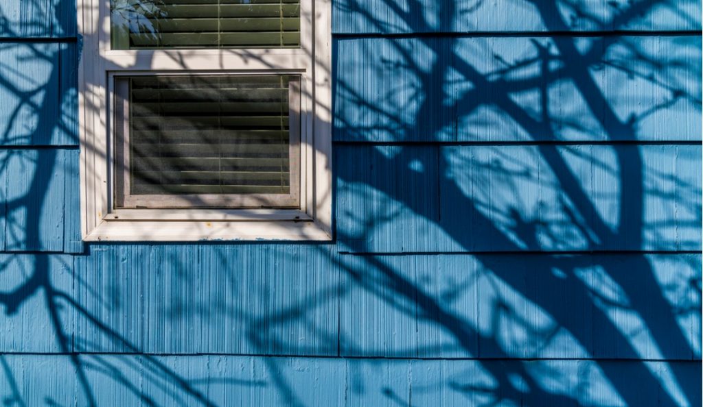 What to Do If Your Neighbor's Tree Is Encroaching on Your Yard — RISMedia