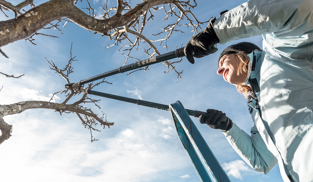 Easy Fall Home Improvement Projects