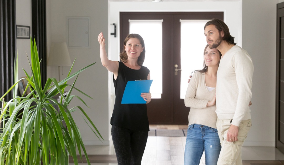 The Home Search Survivor Kit