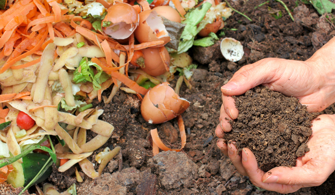 Composting Can Help the Environment and Your Wallet
