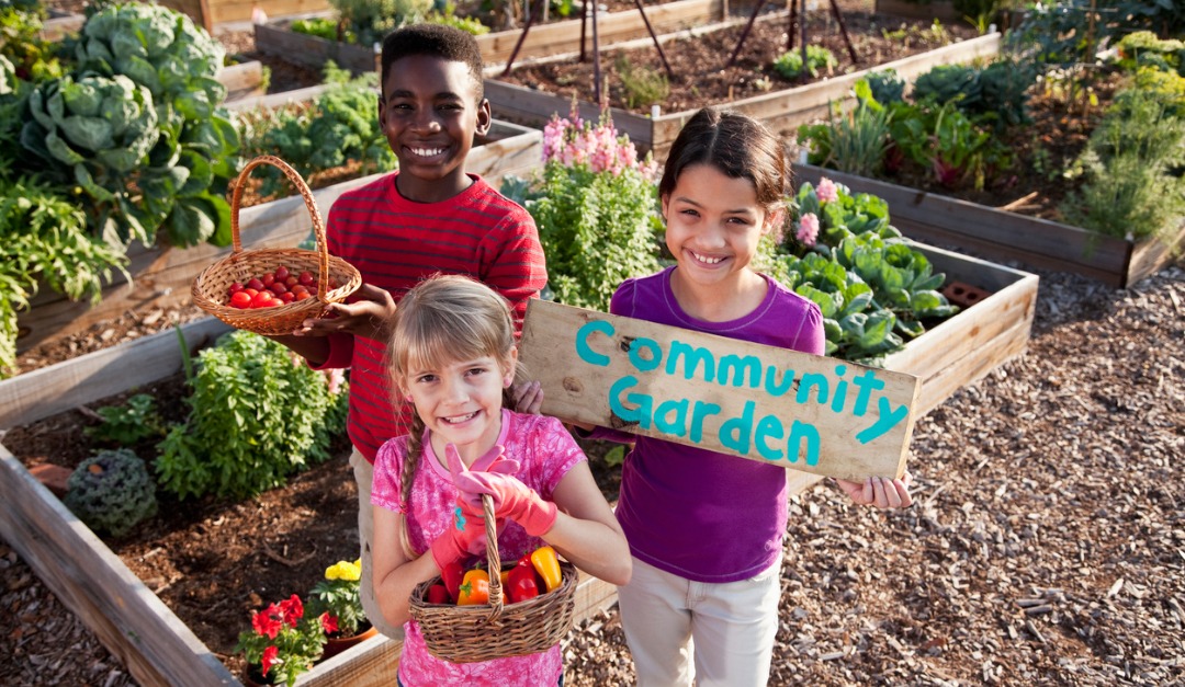 Wellness Communities: A New Trend in Luxury Real Estate