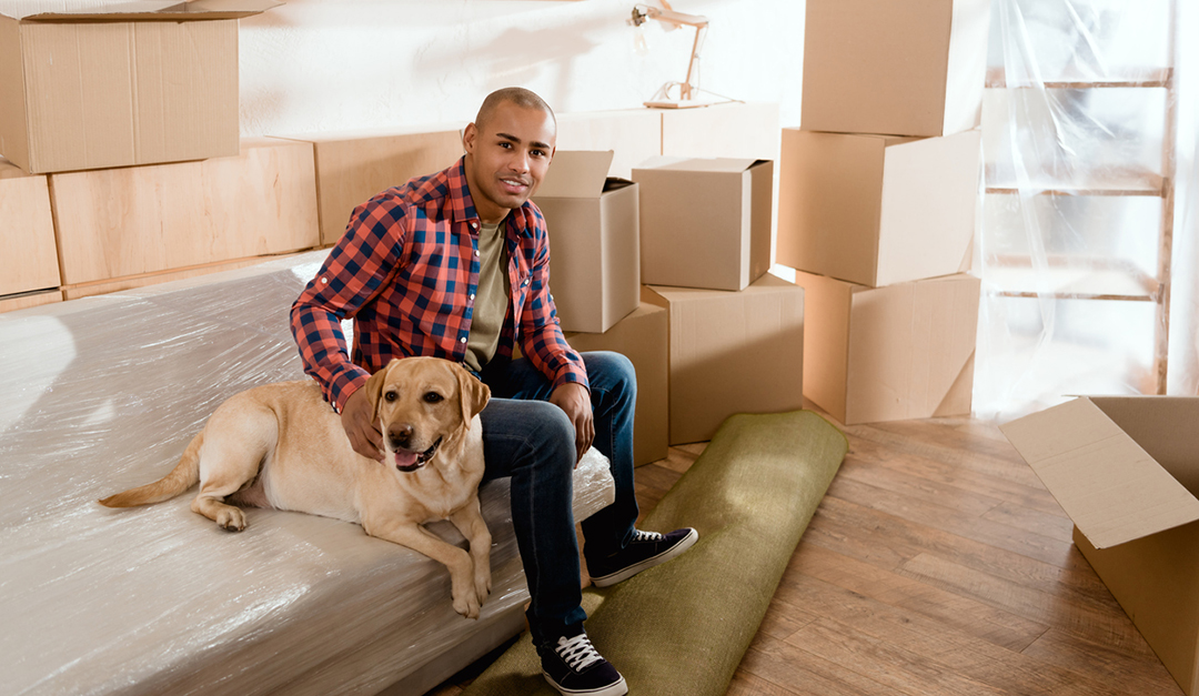 Moving With Pets? These Tips Can Help — RISMedia