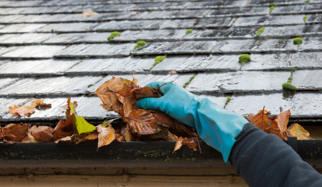 What Can Happen If You Don’t Clean Your Gutters