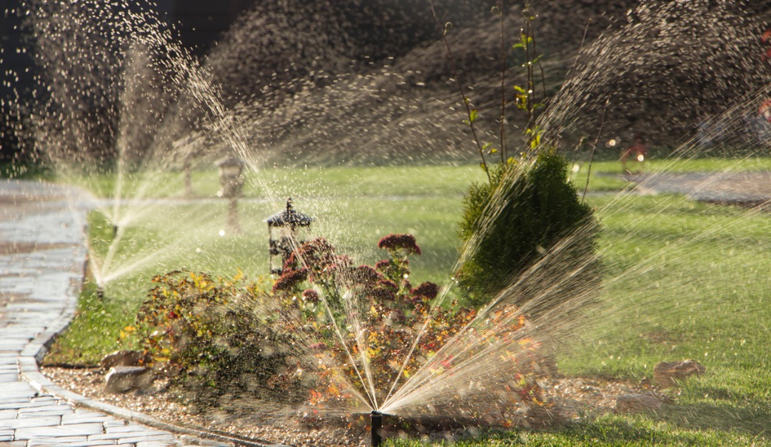 Should You Install a Sprinkler System?