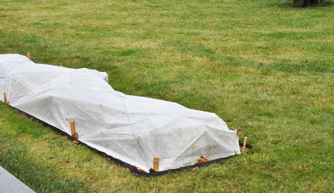 Four Ways to Winterize Your Garden