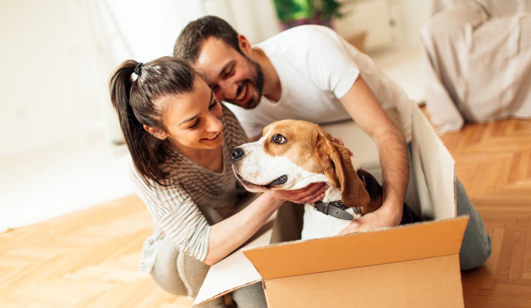A Guide to Introducing Your Pet to Your New Home