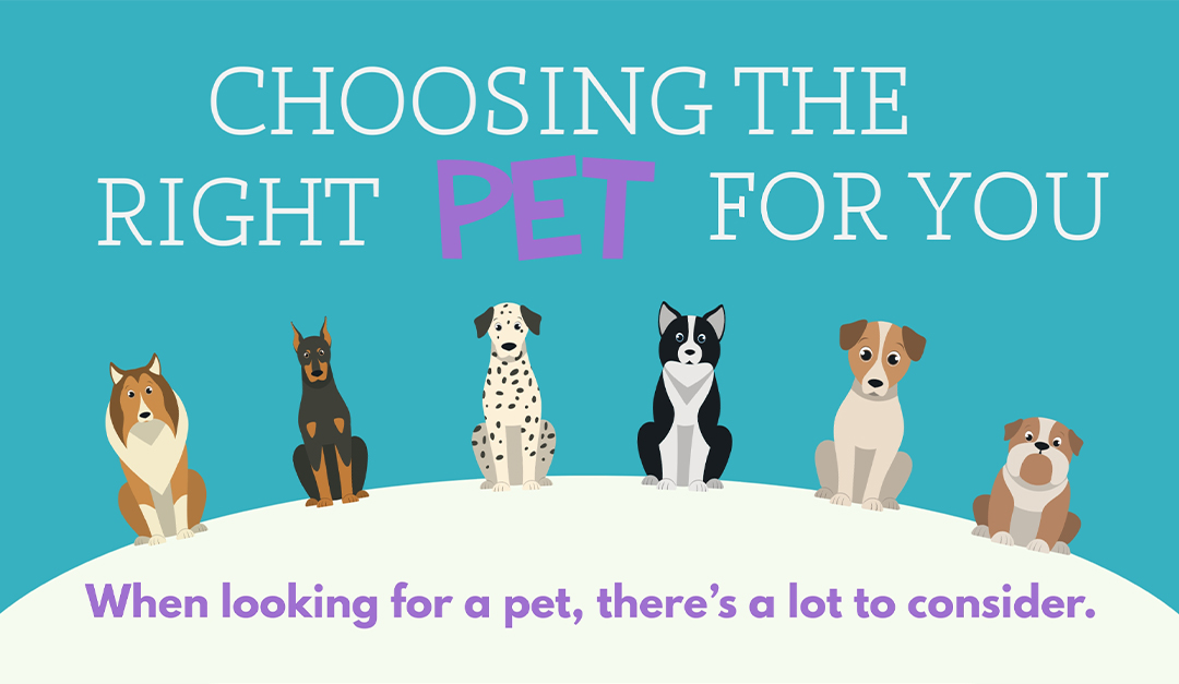 Choosing the Right Pet for You