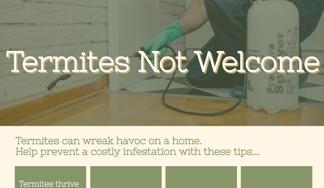 Termites Not Welcome