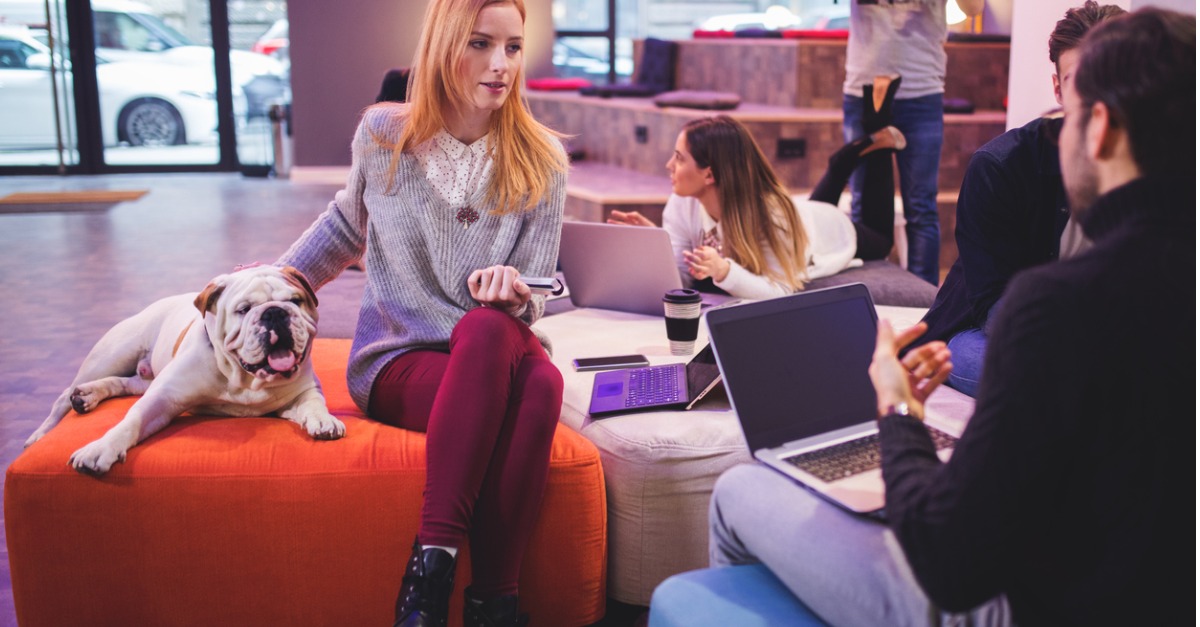 Can Pet Breaks Help You Be More Productive?