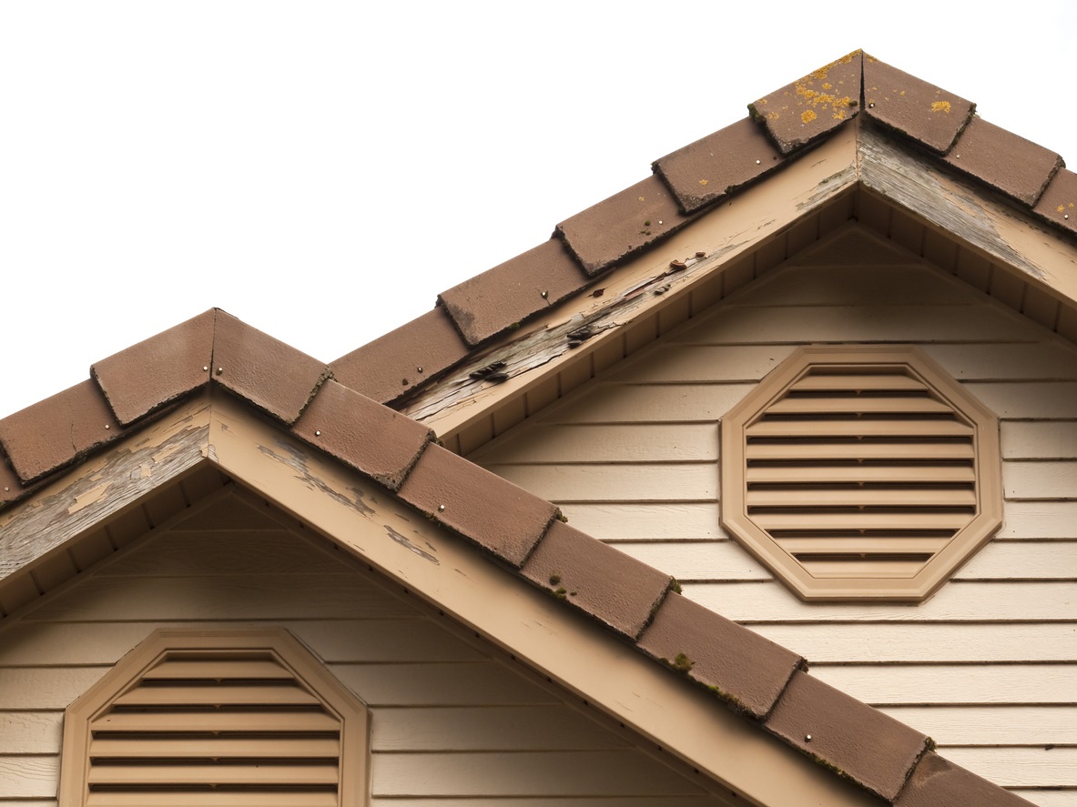 4 Signs Termites Have Made Themselves at Home in Your Home