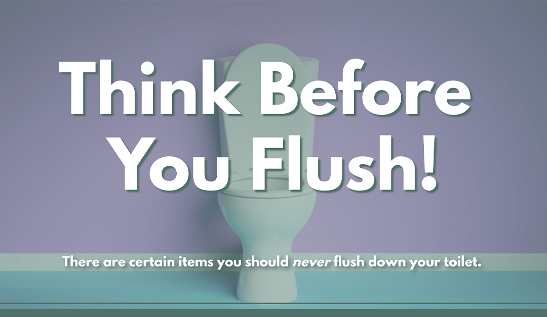 Think Before You Flush!