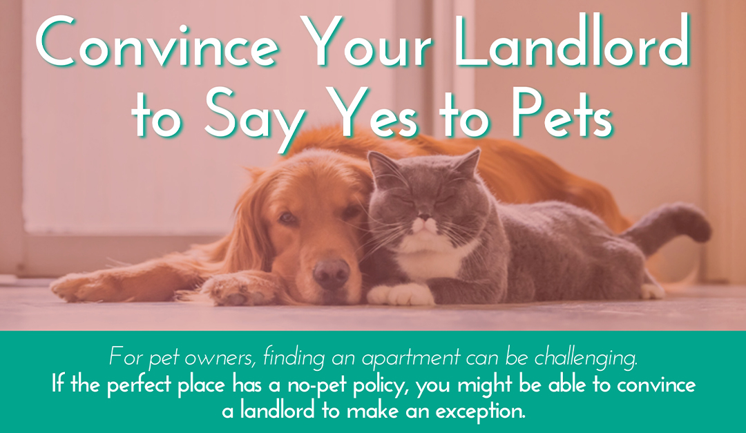 Convince Your Landlord to Say Yes to Pets