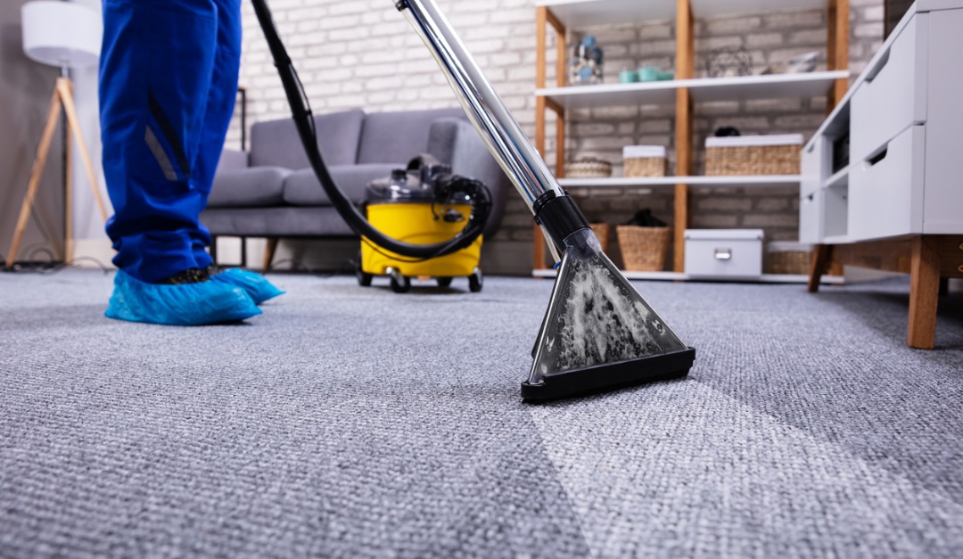 Why You Should Deep-Clean Your Carpets