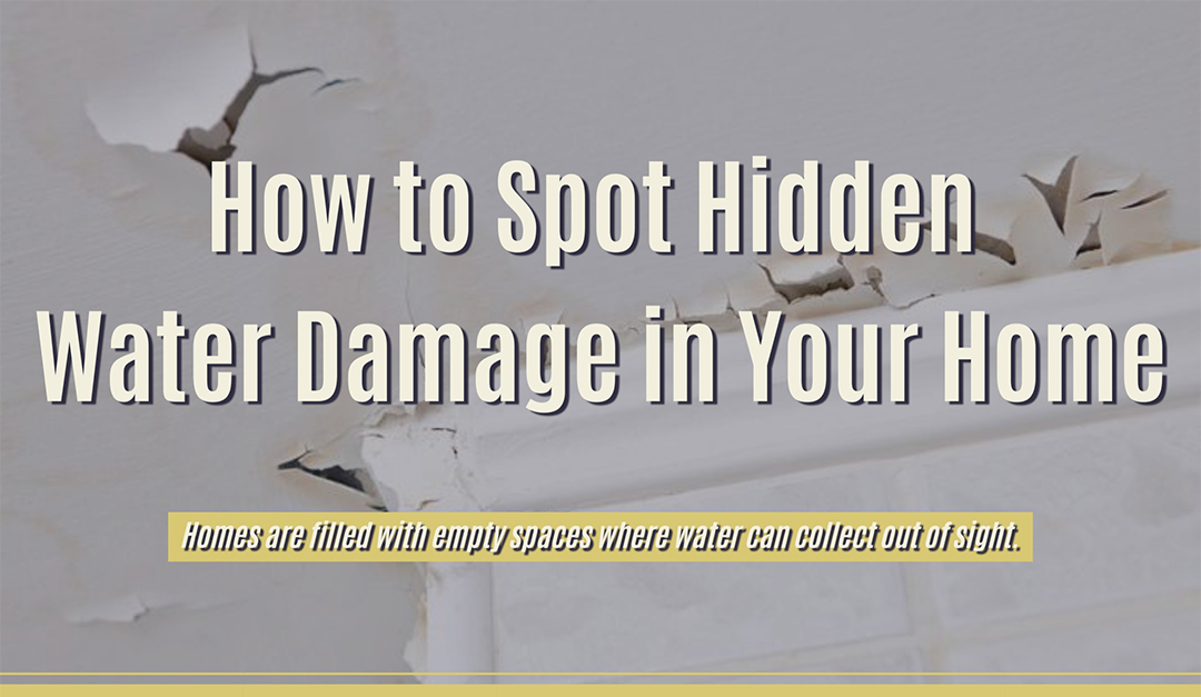 How to Spot Hidden Water Damage in Your Home
