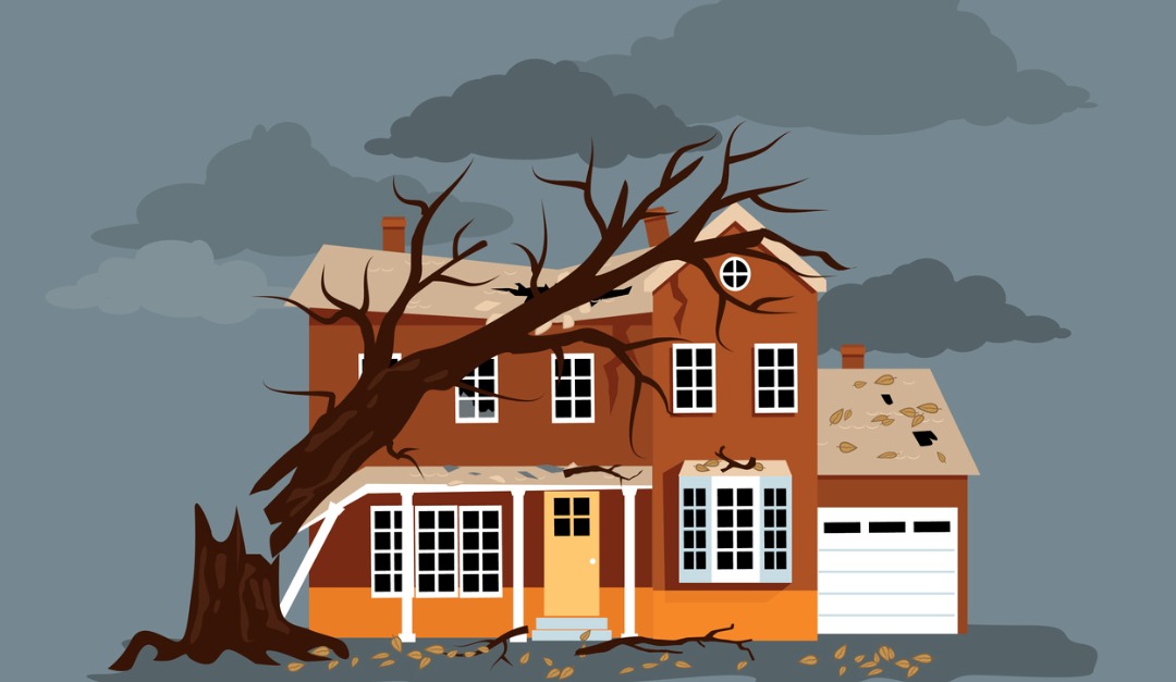 Wise Ways to Avoid Wind Damage