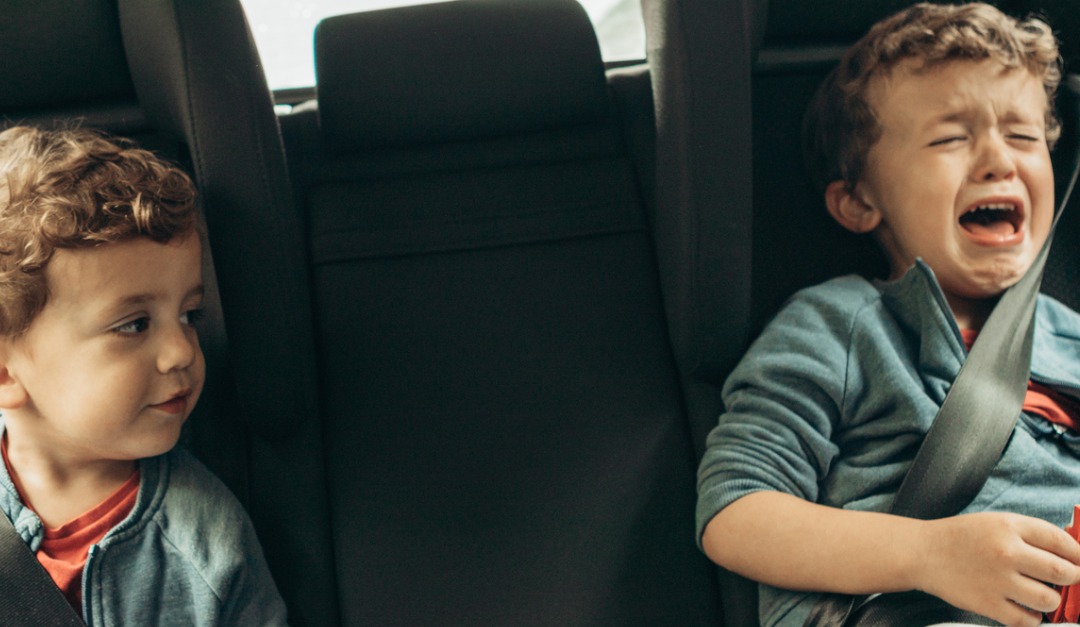 5 Tips for Dealing With Toddlers on a Road Trip