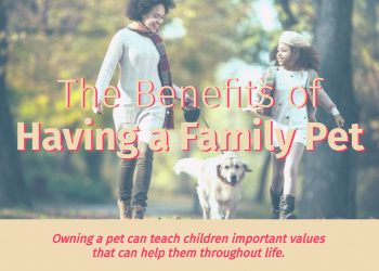 The Benefits of Having a Family Pet